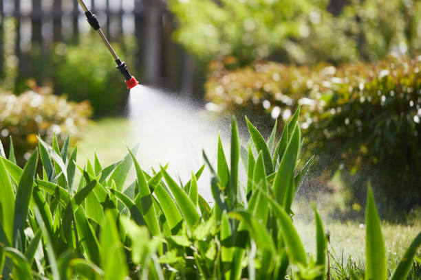24/7 Emergency Mosquito Control experts in Sibley, IA